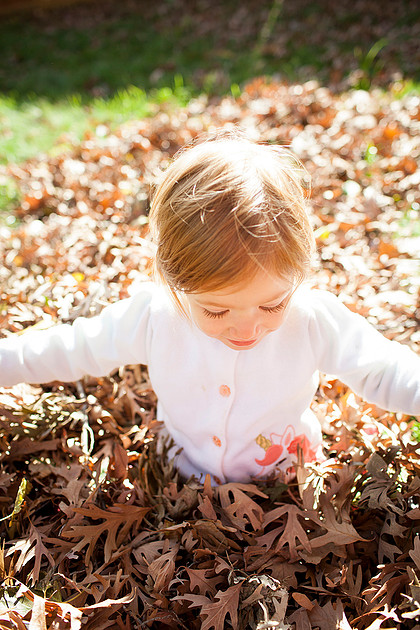 minneapolis family photographer