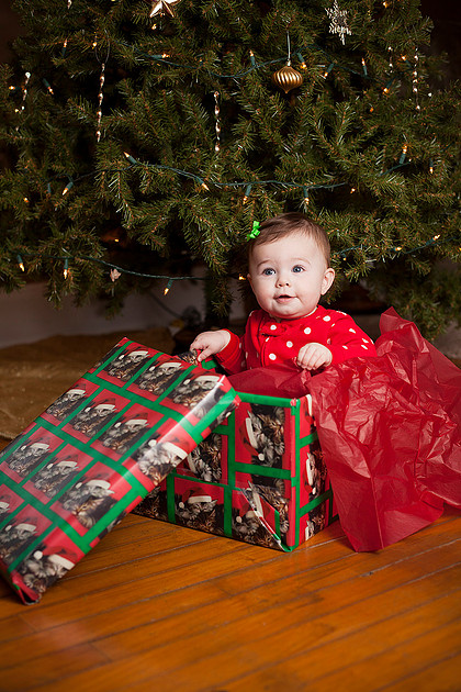 norwood child portrait photographer