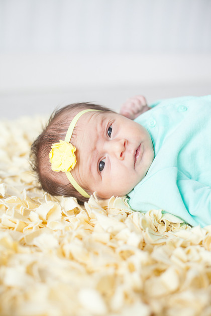 ChanhassenNewbornPhotographer_6