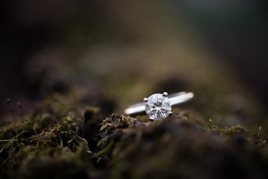NorwoodYoungAmericaEngagementPhotographer_23