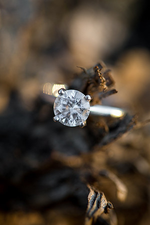 NorwoodYoungAmericaEngagementPhotographer_14
