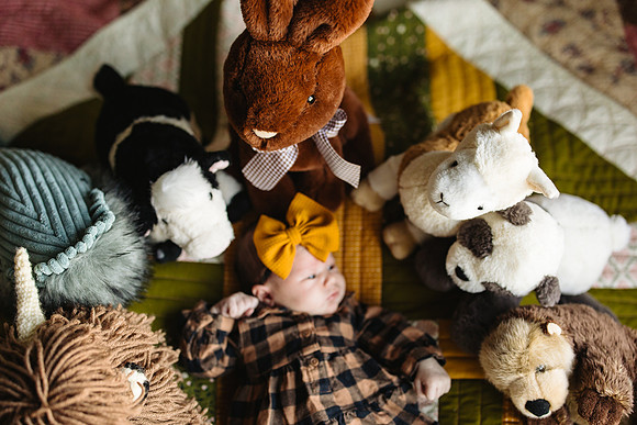 WaconiaMNNewbornPhotographer-6