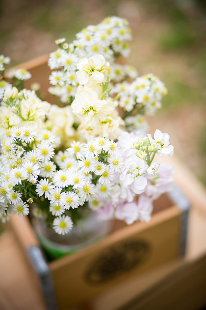 ShakopeeWeddingPhotographer_25