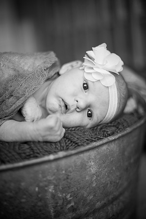 WaconiaNewbornPhotographer_11