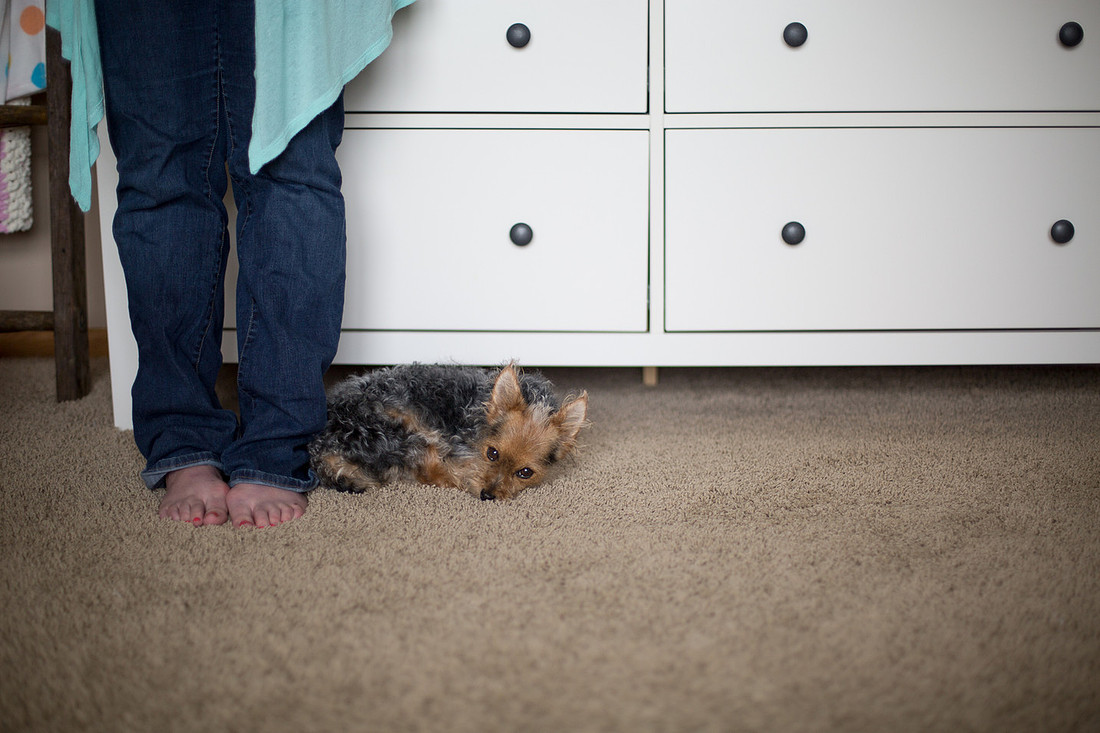 WaconiaNewbornPhotographer_8