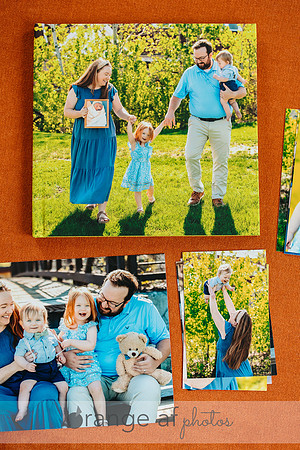 MapleGroveFamilyPhotographer-29