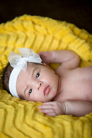 GlencoeNewbornPhotographer_21