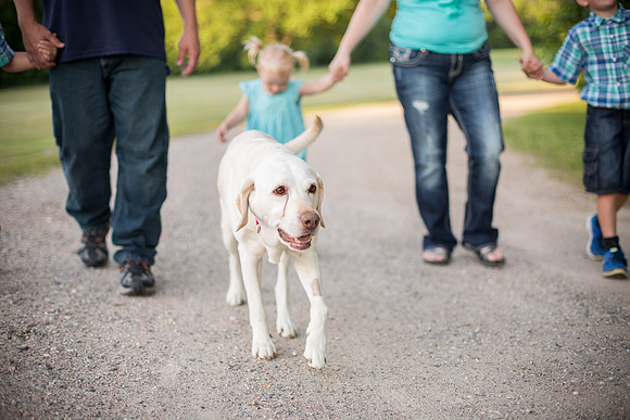 GlencoeMNFamilyPhotographer_11