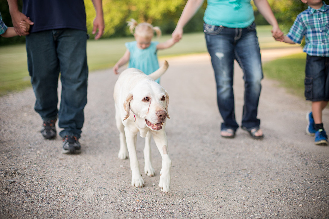 GlencoeMNFamilyPhotographer_11