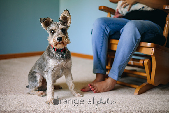 MinneapolisNewbornPhotographer-3