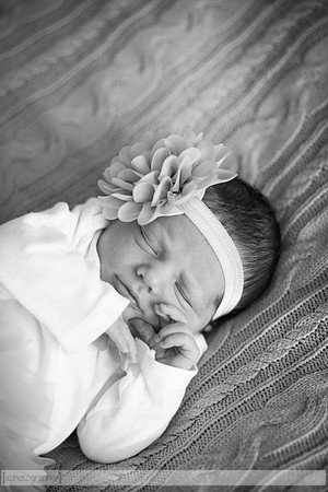 HadleyNewborn_035-2