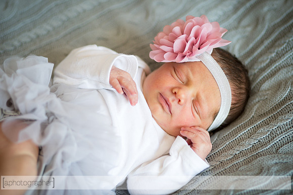 HadleyNewborn_036