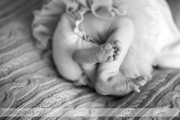 HadleyNewborn_038-2