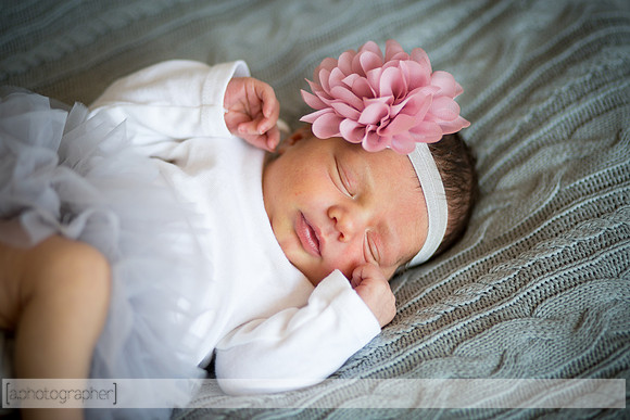 HadleyNewborn_039