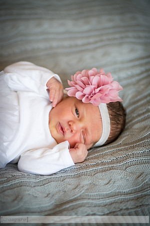 HadleyNewborn_040