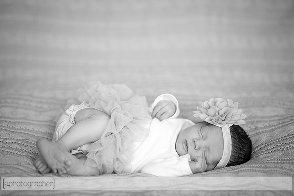 HadleyNewborn_041-2