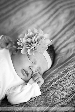 HadleyNewborn_042-2