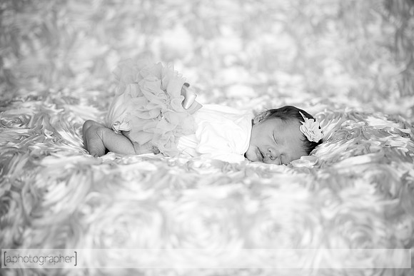 HadleyNewborn_044