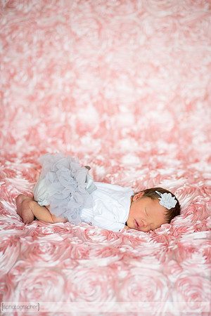 HadleyNewborn_045