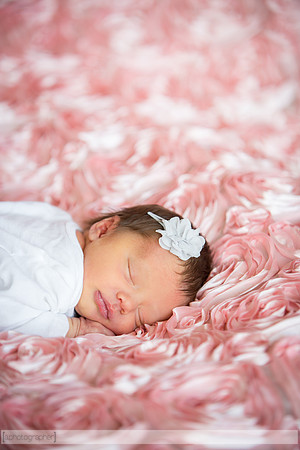 HadleyNewborn_047