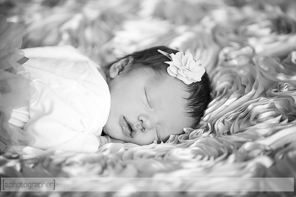 HadleyNewborn_049-2