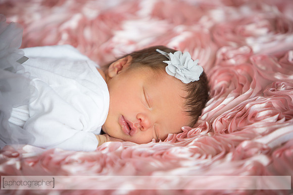HadleyNewborn_049