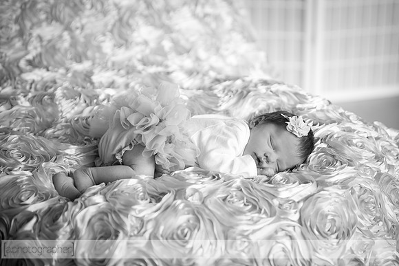 HadleyNewborn_050-2