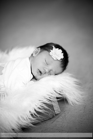 HadleyNewborn_051-2
