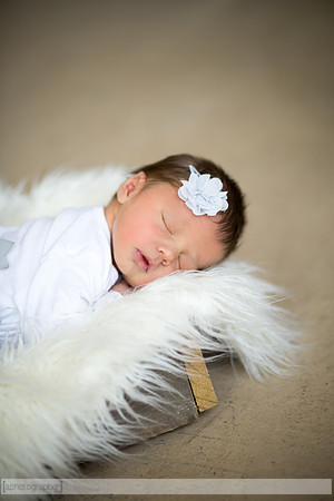 HadleyNewborn_051