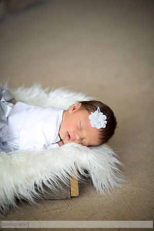 HadleyNewborn_052
