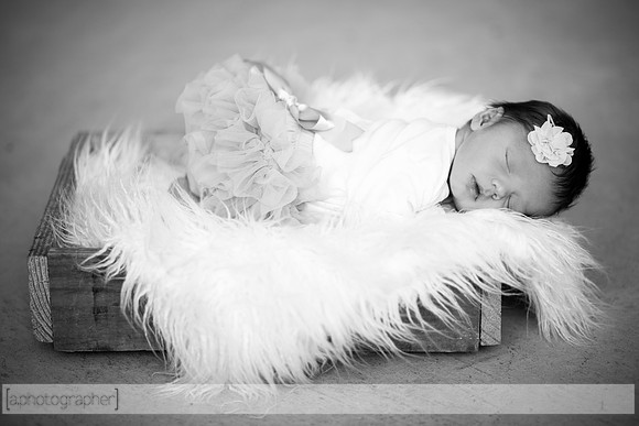HadleyNewborn_053-2