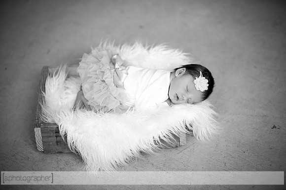 HadleyNewborn_054-2