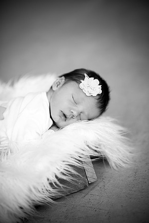 WaconiaNewbornPhotographer_19