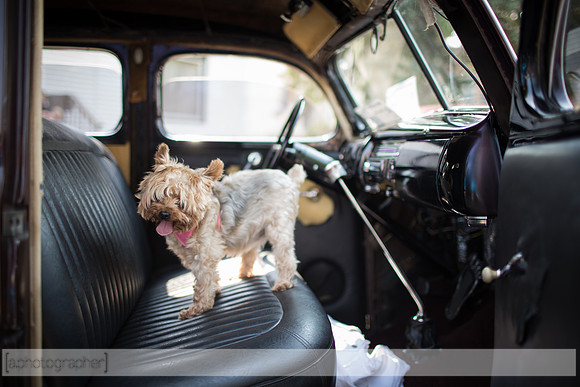 083015NYACarShow_150