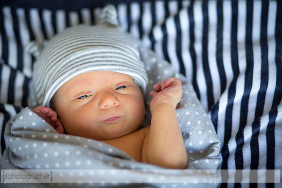 DaxtonNewborn_003