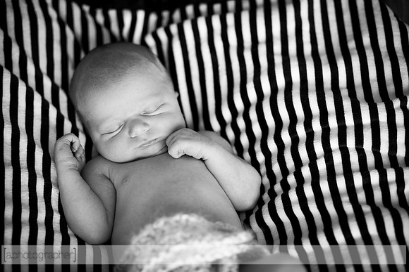 DaxtonNewborn_008-2