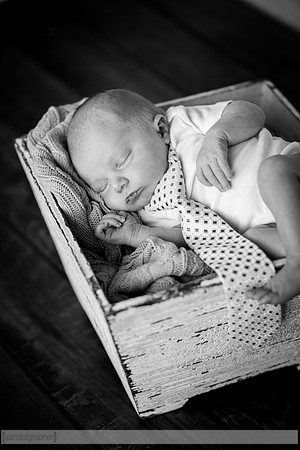 DaxtonNewborn_017-2