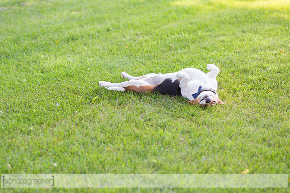 DaxtonNewborn_070