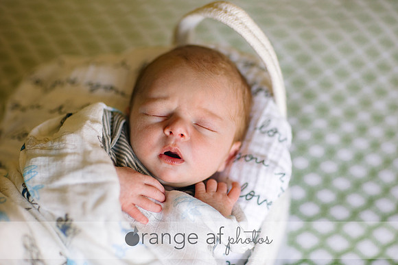MinneapolisNewbornPhotographer-8