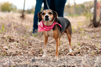 ShakopeeMNWeddingPhotographer-1