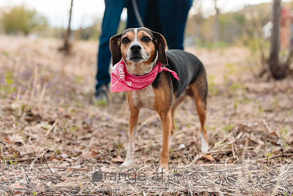 ShakopeeMNWeddingPhotographer-1