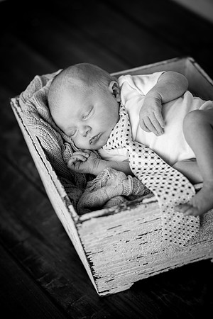 CologneMNNewbornPhotographer_5