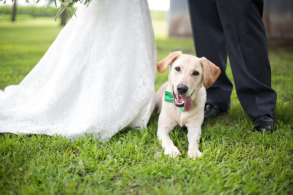CologneMNWeddingPhotographer_33