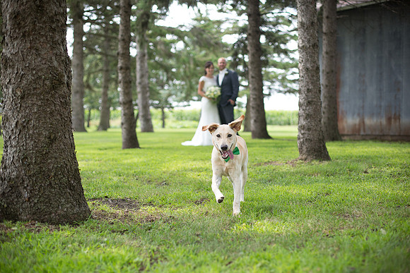 CologneMNWeddingPhotographer_26