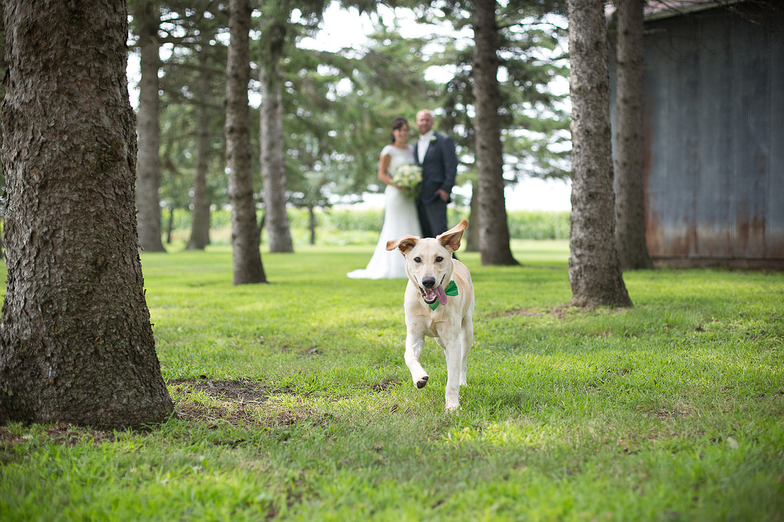 CologneMNWeddingPhotographer_26
