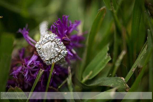 GamadesEngagement_042