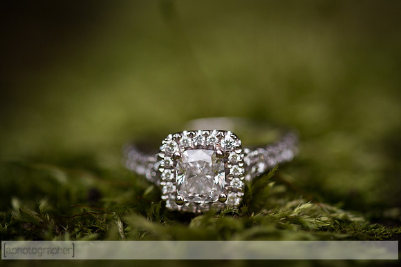 GamadesEngagement_064