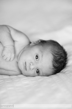JosephineNielsenNewborn_009-2