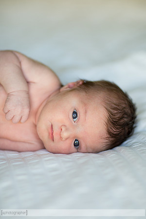JosephineNielsenNewborn_009