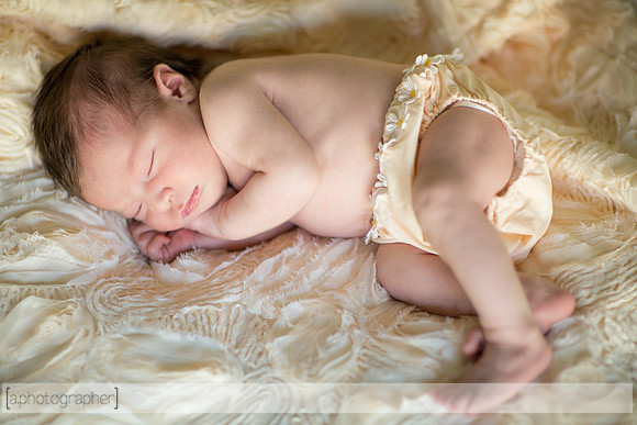 JosephineNielsenNewborn_013